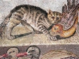 Roman Mosaic Cat Duck National Museum of Rome