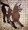 archi mosaic animal dog