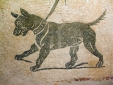 archi mosaic animal dog
