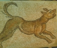 archi mosaic animal dog