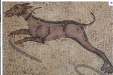 archi mosaic animal dog