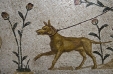 archi mosaic animal dog