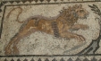 Roman Mosaic of Lion  / Tiger Wild Animal and Big Cat