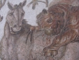 Roman Mosaic of Lion  / Tiger Wild Animal and Big Cat