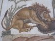 Roman Mosaic of Lion  / Tiger Wild Animal and Big Cat
