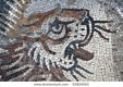 Roman Mosaic of Lion  / Tiger Wild Animal and Big Cat