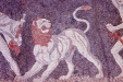 Roman Mosaic of Lion  / Tiger Wild Animal and Big Cat