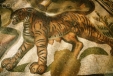 Roman Mosaic of Lion  / Tiger Wild Animal and Big Cat
